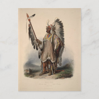 Karl Bodmer - A Mandan chief Postcard