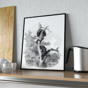 Karl Bodmer, Les Ours (The Bears) Poster