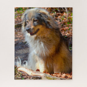 Karst Shepherd Dog. Jigsaw Puzzle