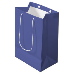 Kashmir Blue Medium Gift Bag