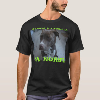 Kashmir/Norml Tee