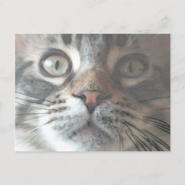kat2 postcard (Front)
