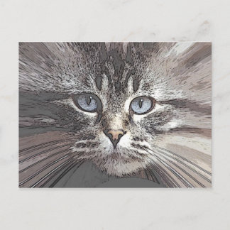 kat4 postcard