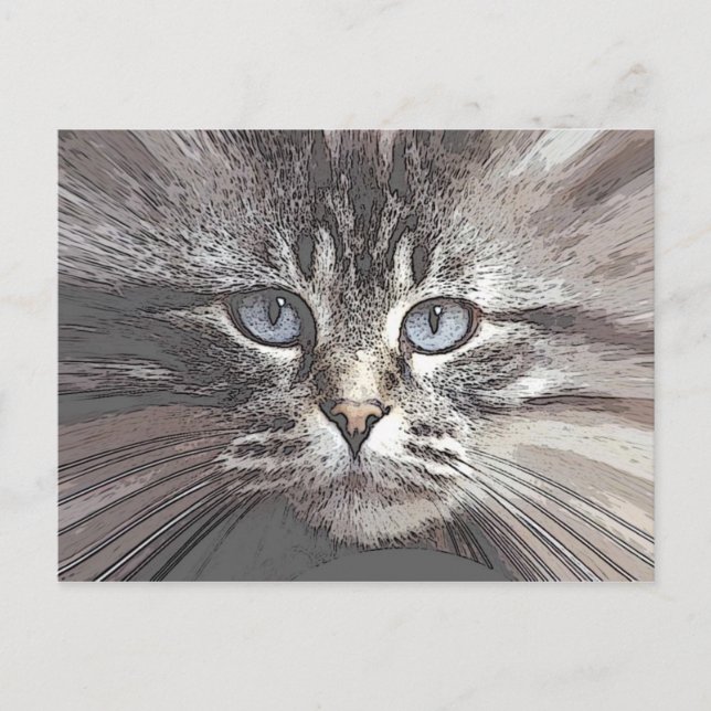 kat4 postcard (Front)