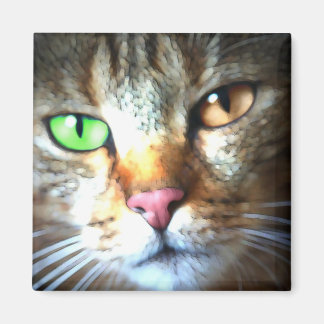 Kat Magnet