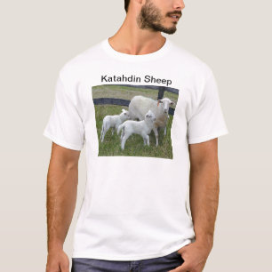 Katahdin sheep T-Shirt