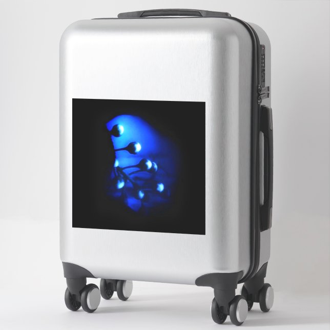Kate (Suitcase)