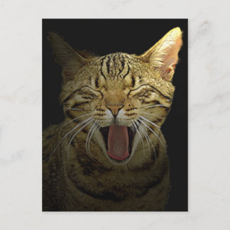 kath postcard