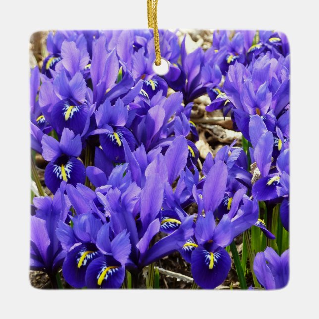 Katherine Hodgkin Irises Purple Spring Floral Ceramic Ornament (Front)