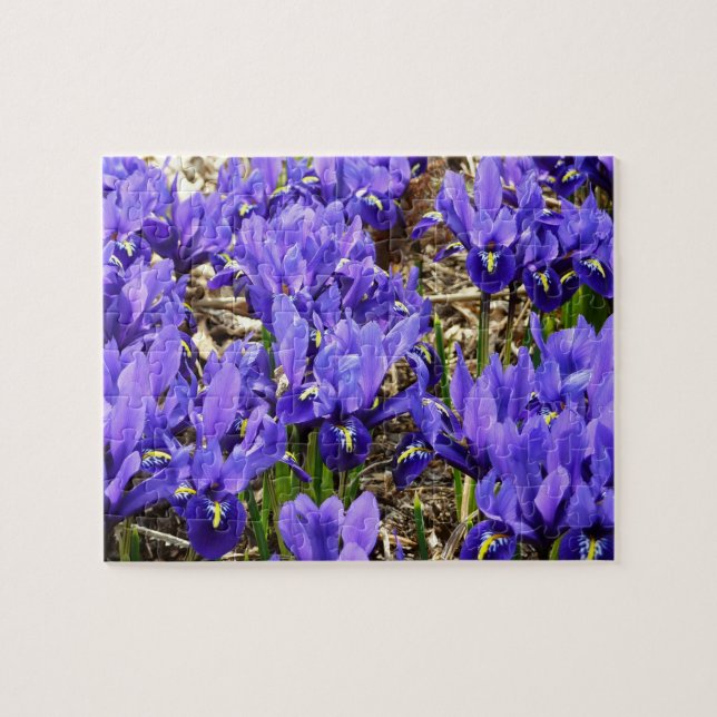 Katherine Hodgkin Irises Purple Spring Floral Jigsaw Puzzle (Horizontal)