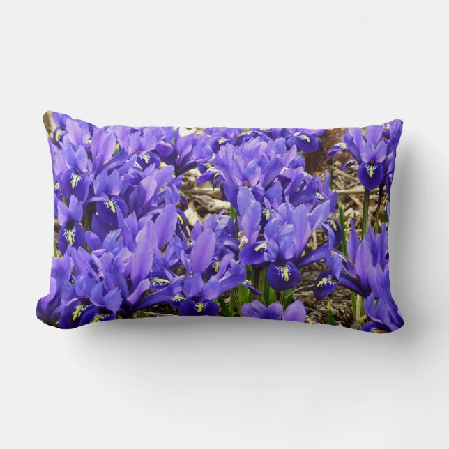 Katherine Hodgkin Irises Purple Spring Floral Lumbar Cushion (Front)