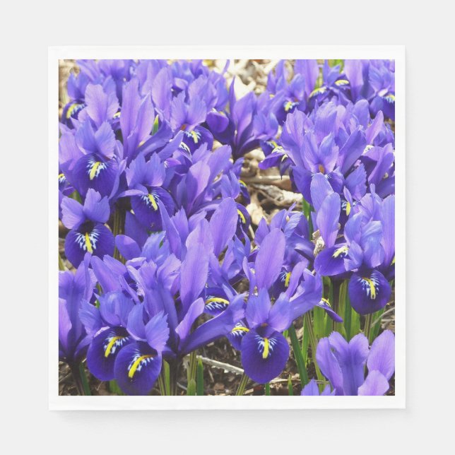 Katherine Hodgkin Irises Purple Spring Floral Napkin (Front)