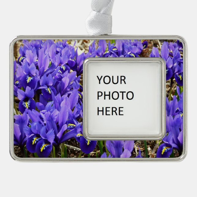 Katherine Hodgkin Irises Purple Spring Floral Silver Plated Framed Ornament (Front)