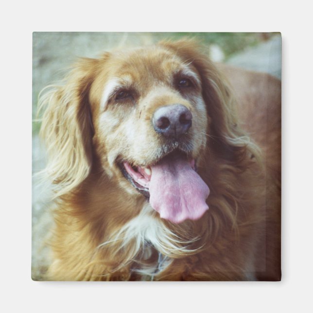 Katie Old Magnet (Front)