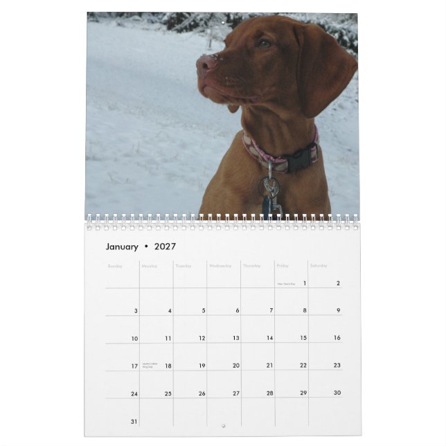 Katie Vizsla 2012 Calendar (Jan 2027)