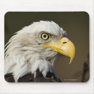 Katmai National Park, Alaska Mouse Mat