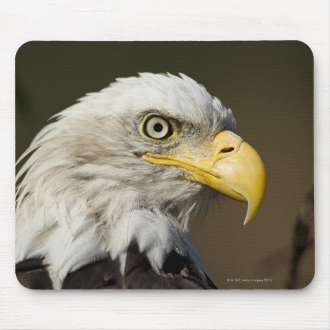 Katmai National Park, Alaska Mouse Mat (Front)