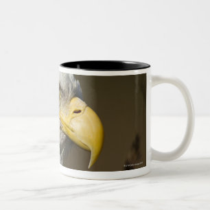 Katmai National Park, Alaska Two-Tone Coffee Mug