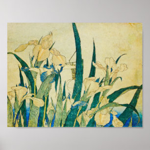 Katsushika Hokusai-Blossoming Irises and Grasshopp Poster