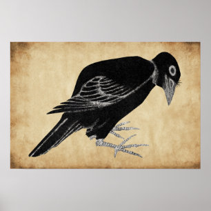 Katsushika Hokusai's Crow  1814 Poster