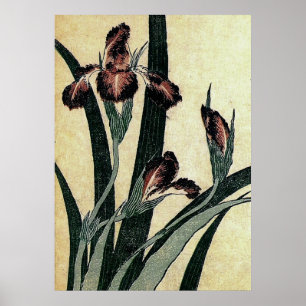 Katsushika Hokusai's Irises (Detail) Poster