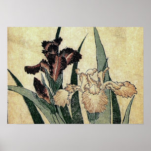 Katsushika Hokusai's Irises (Detail) Poster