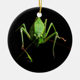 Katydid Ceramic Tree Decoration