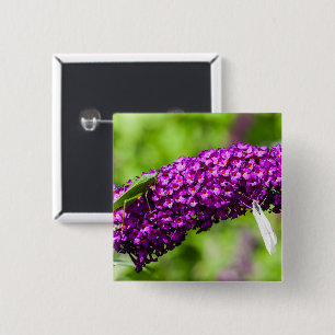 katydid energy 15 cm square badge
