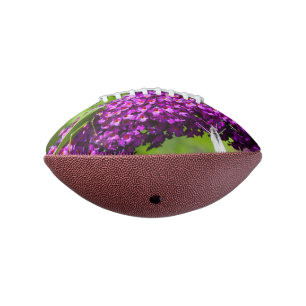 katydid energy american football