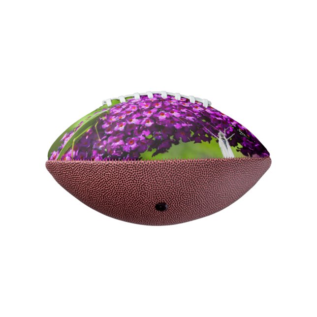katydid energy american football (Rotated 270)