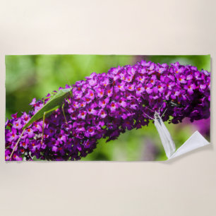 katydid energy beach towel