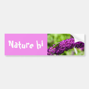 katydid energy bumper sticker