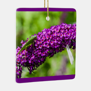 katydid energy ceramic ornament