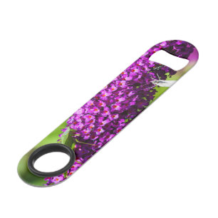 katydid energy credit card bottle opener