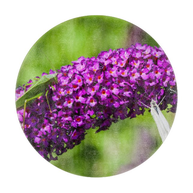 katydid energy cutting board (Front)