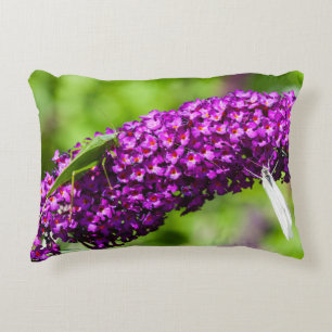 katydid energy decorative cushion