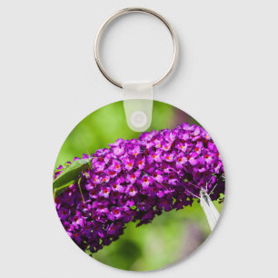 katydid energy key ring