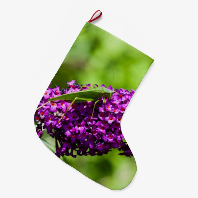 katydid energy large christmas stocking (Front (Hanging))