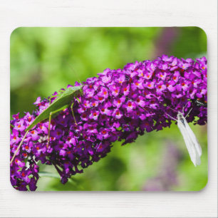 katydid energy mouse mat