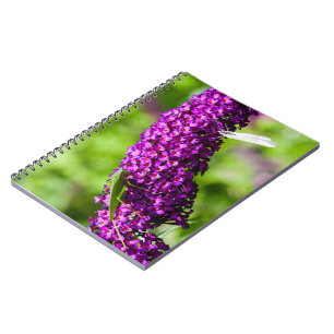 katydid energy notebook