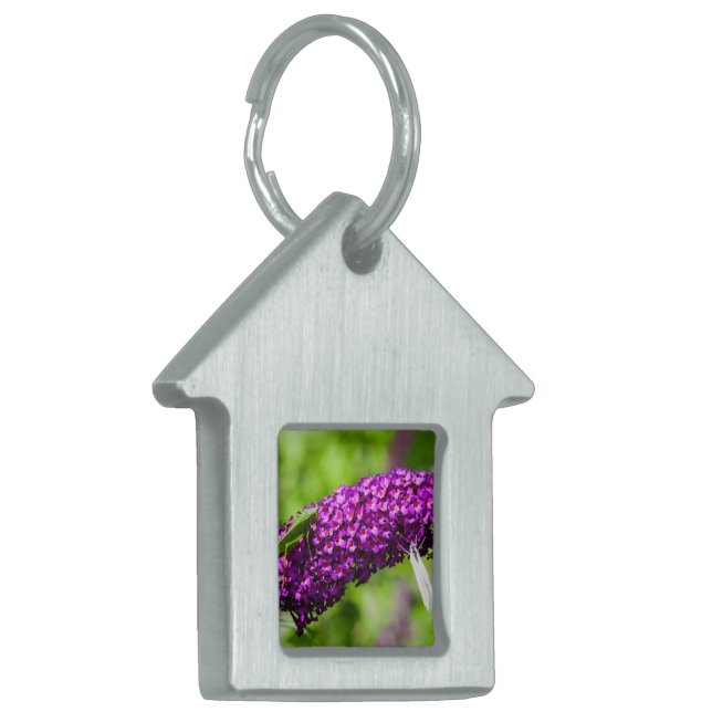 katydid energy pet ID tag (Front Left)