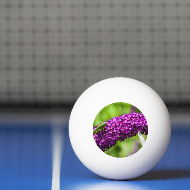 katydid energy ping pong ball (Net)