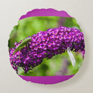 katydid energy round cushion