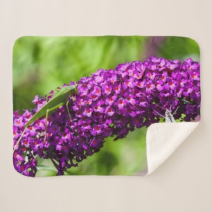 katydid energy sherpa blanket