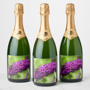 katydid energy sparkling wine label