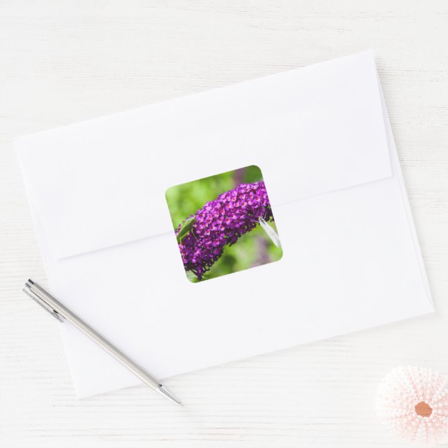 katydid energy square sticker (Envelope)