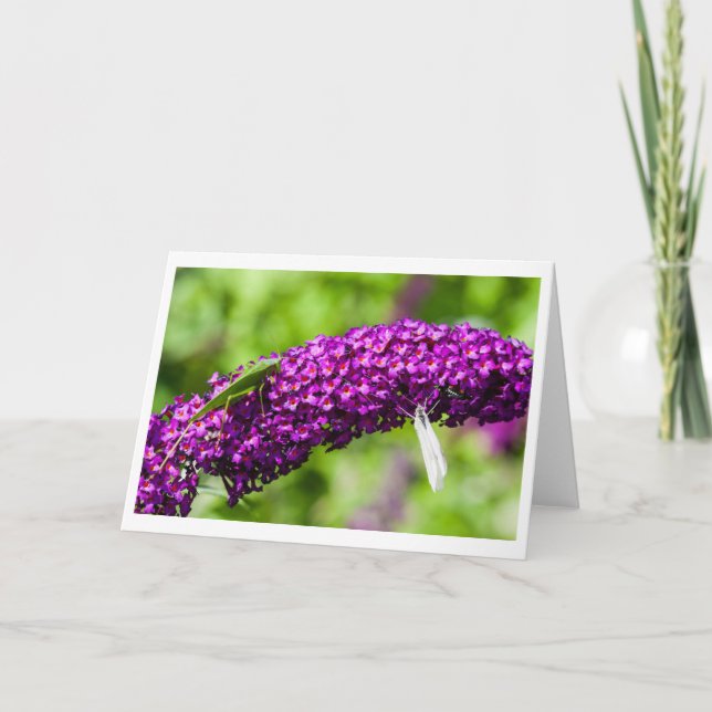 katydid energy thank you card (Front)
