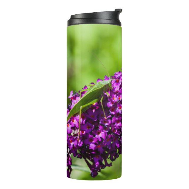 katydid energy thermal tumbler (Rotated Left)
