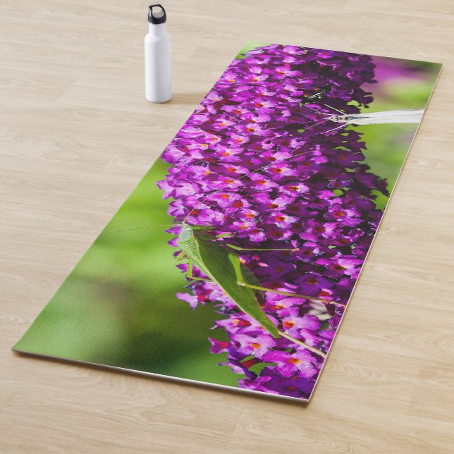katydid energy yoga mat (In Situ)