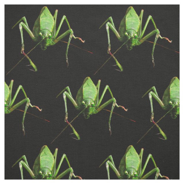 Katydid Fabric (Swatch)